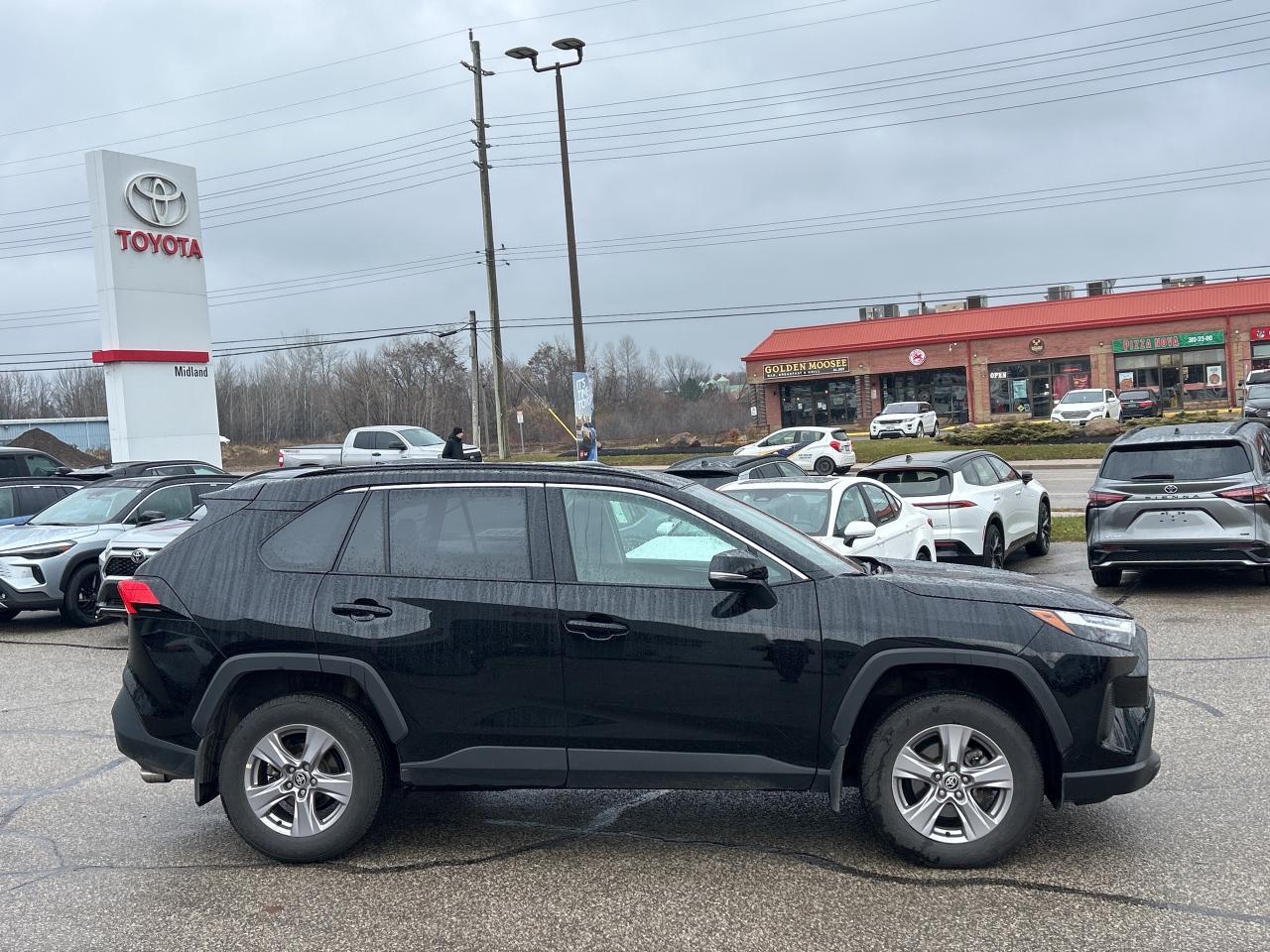 2025 Toyota RAV4 XLE   NO REPORTED ACCIDENTS   Power Moonroof Photo