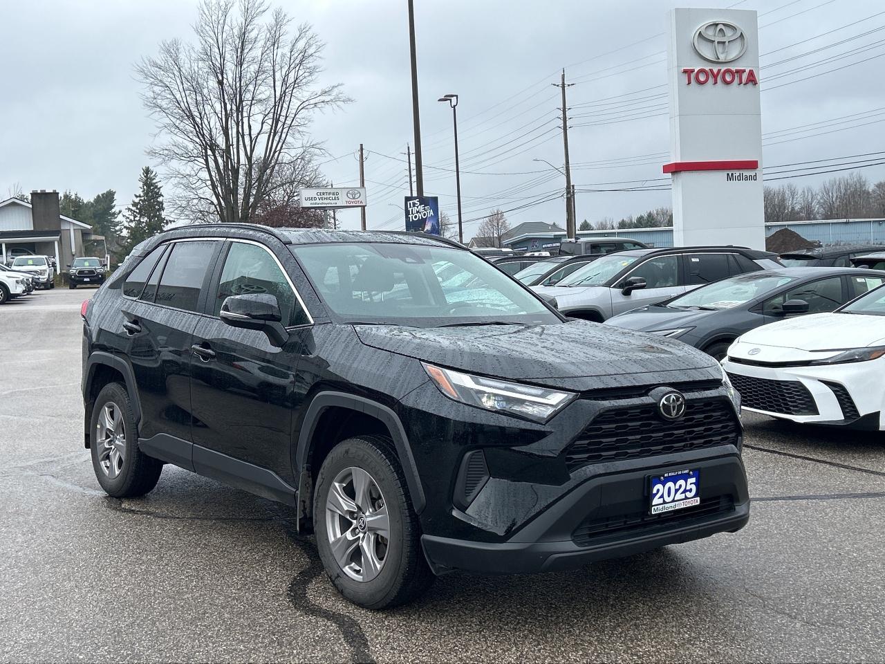 2025 Toyota RAV4 XLE   NO REPORTED ACCIDENTS   Power Moonroof Photo