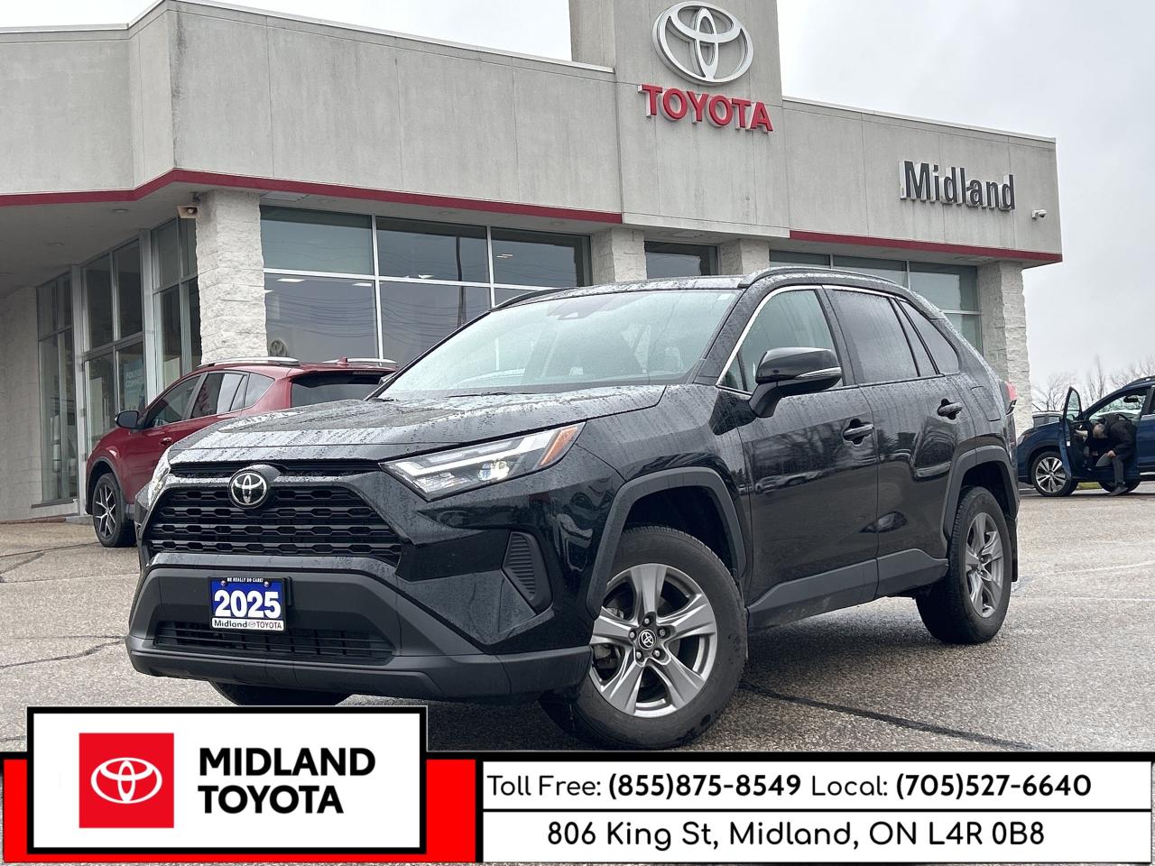 2025 Toyota RAV4 XLE   NO REPORTED ACCIDENTS   Power Moonroof Photo