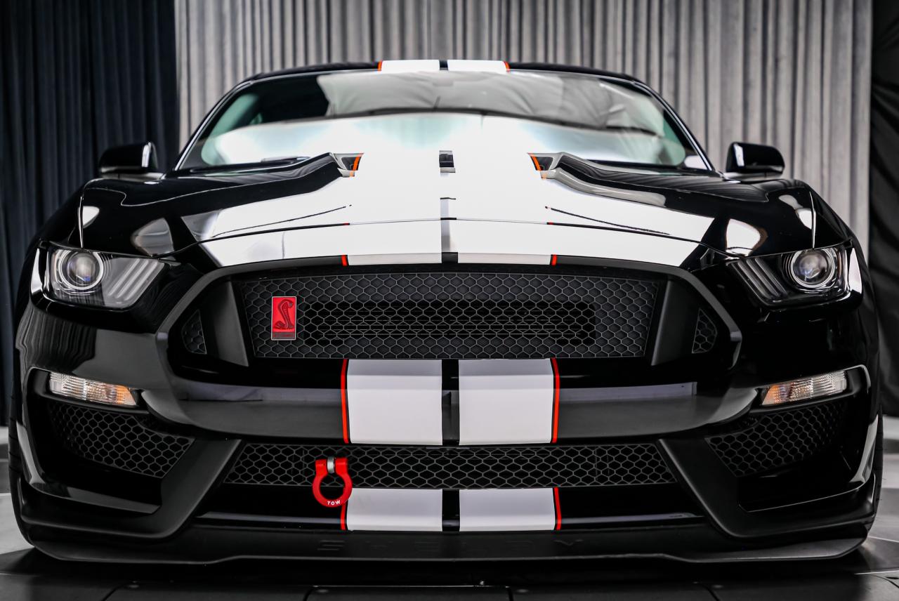 2018 Ford Mustang SHELBY GT350R 5.2L V8  CARBONRIMS NOACCIDENT 1OWNR Photo