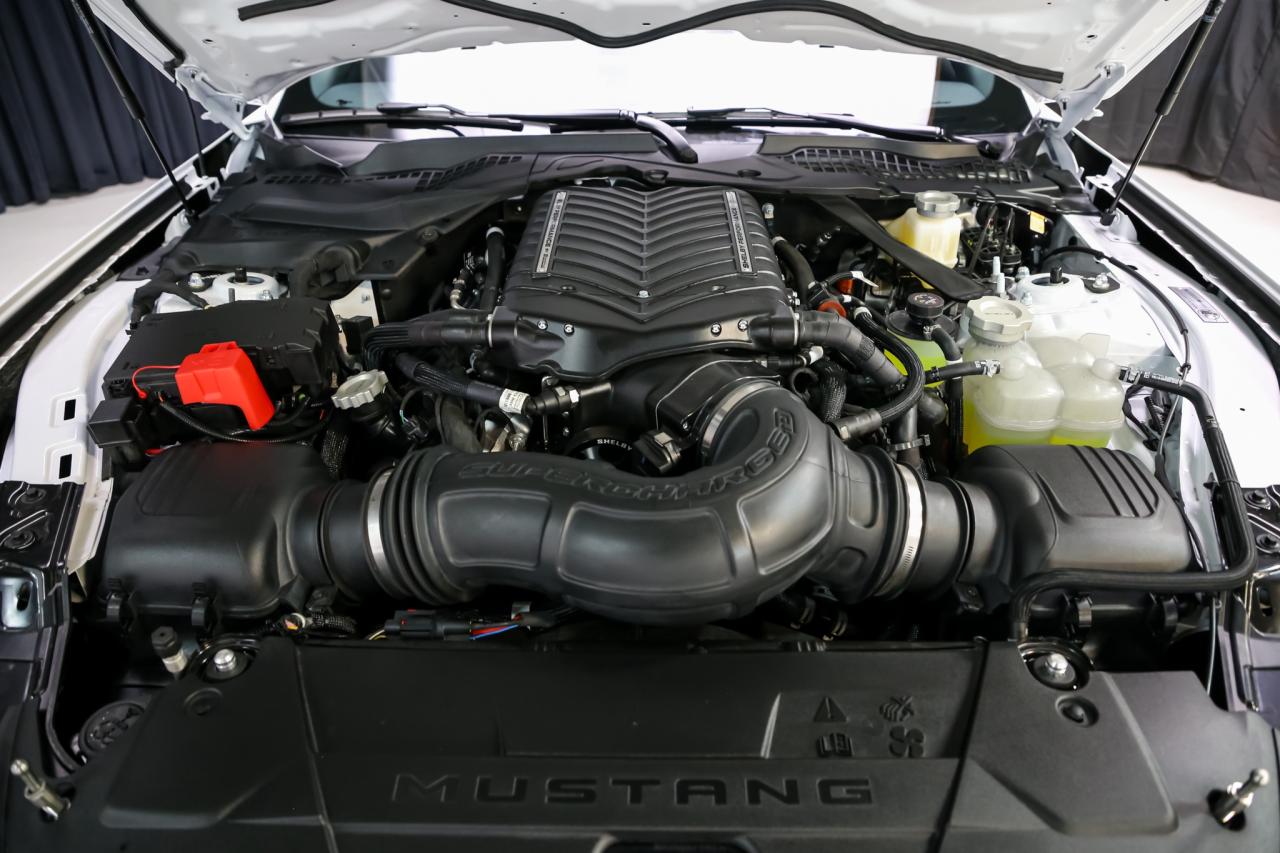 2025 Ford Mustang SHELBY SUPER SNAKE 830+HP MANUAL RARE ALMOSTNEW Photo