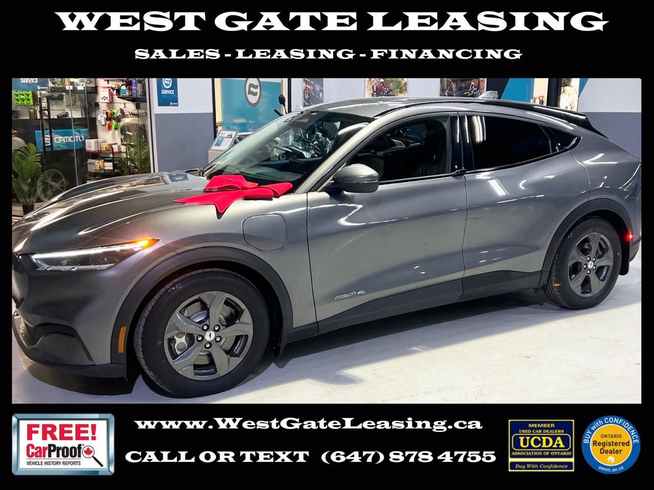2021 Ford Mustang Mach-E SELECT   AWD   LEATHER   CAMERA   NO ACCIDENTS   4 Photo