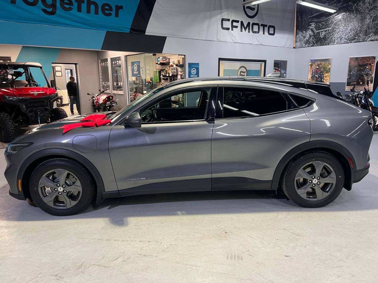 2021 Ford Mustang Mach-E SELECT   AWD   LEATHER   CAMERA   NO ACCIDENTS   4 Photo