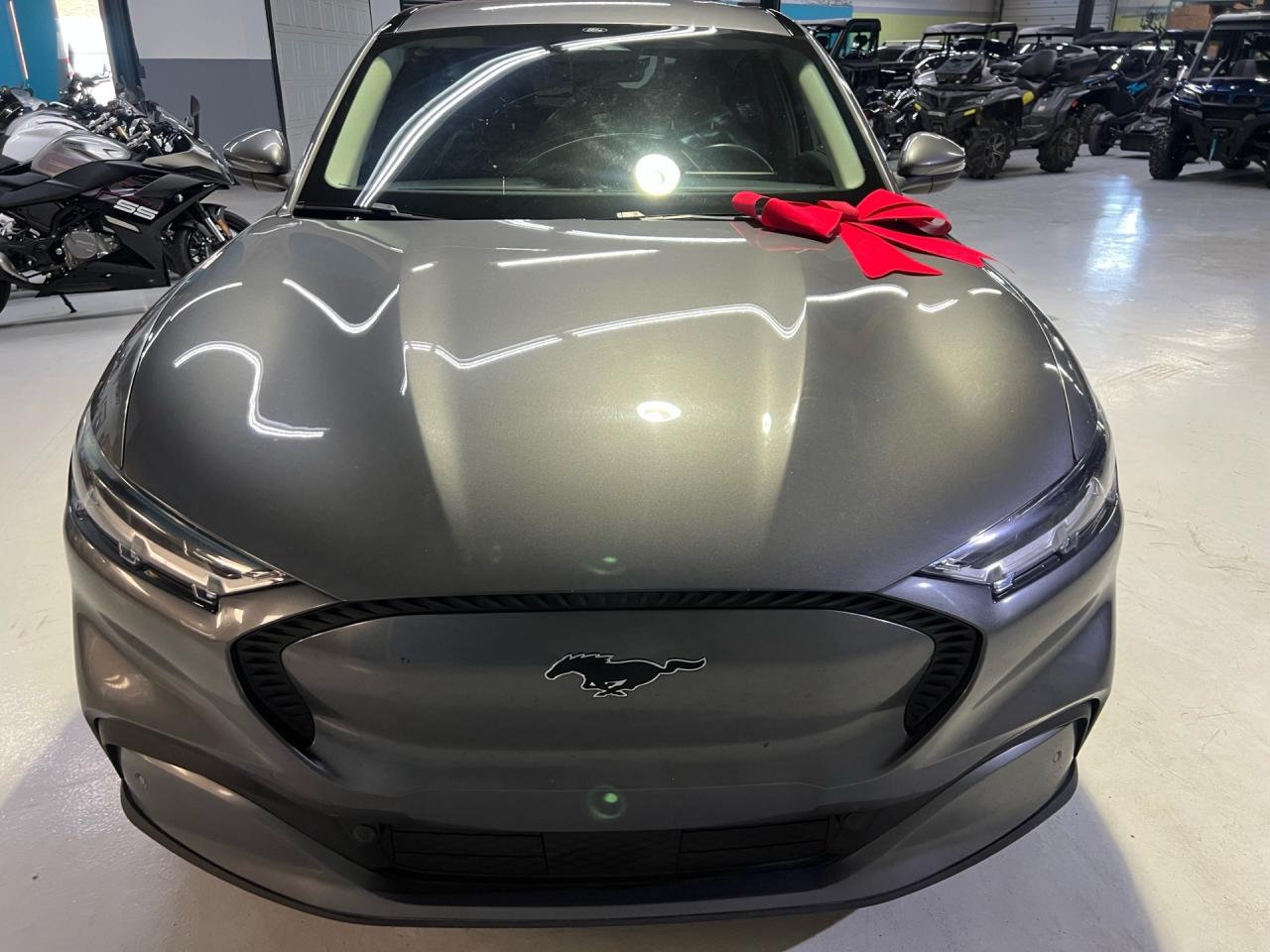 2021 Ford Mustang Mach-E SELECT   AWD   LEATHER   CAMERA   NO ACCIDENTS   4 Photo