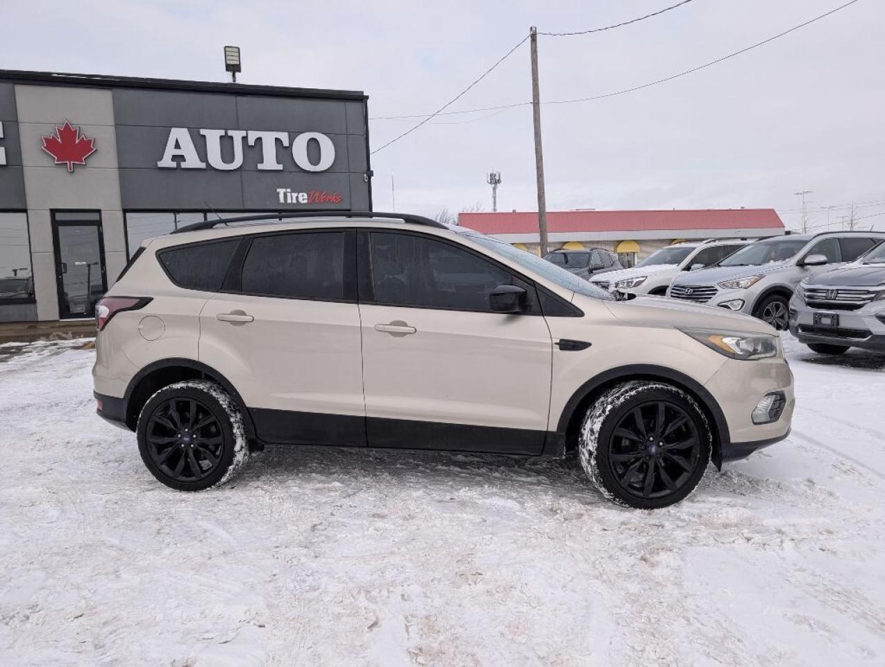 2017 Ford Escape SE   CAMERA   HTD SEATS Photo4