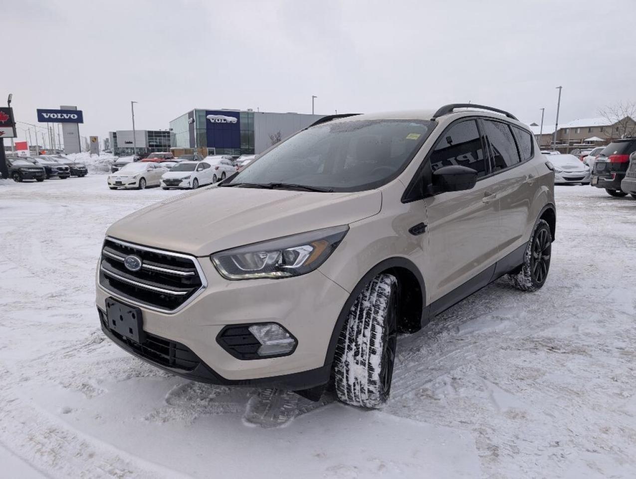 2017 Ford Escape SE   CAMERA   HTD SEATS Photo