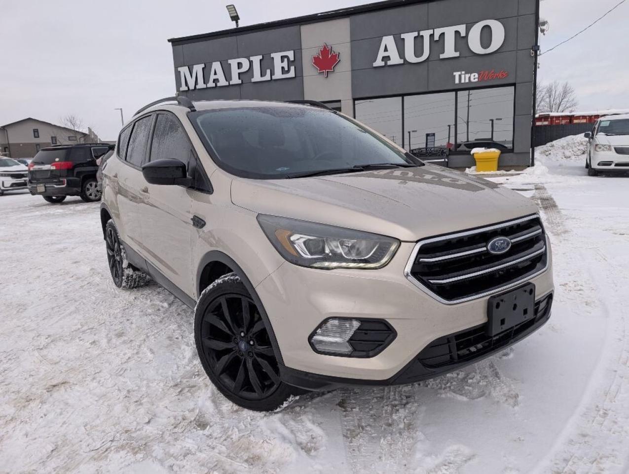 2017 Ford Escape SE   CAMERA   HTD SEATS Photo