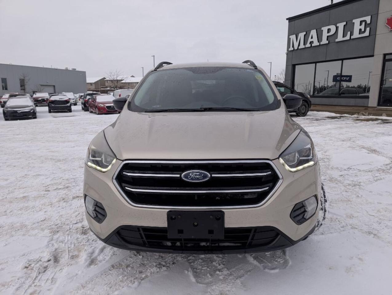 2017 Ford Escape SE   CAMERA   HTD SEATS Photo