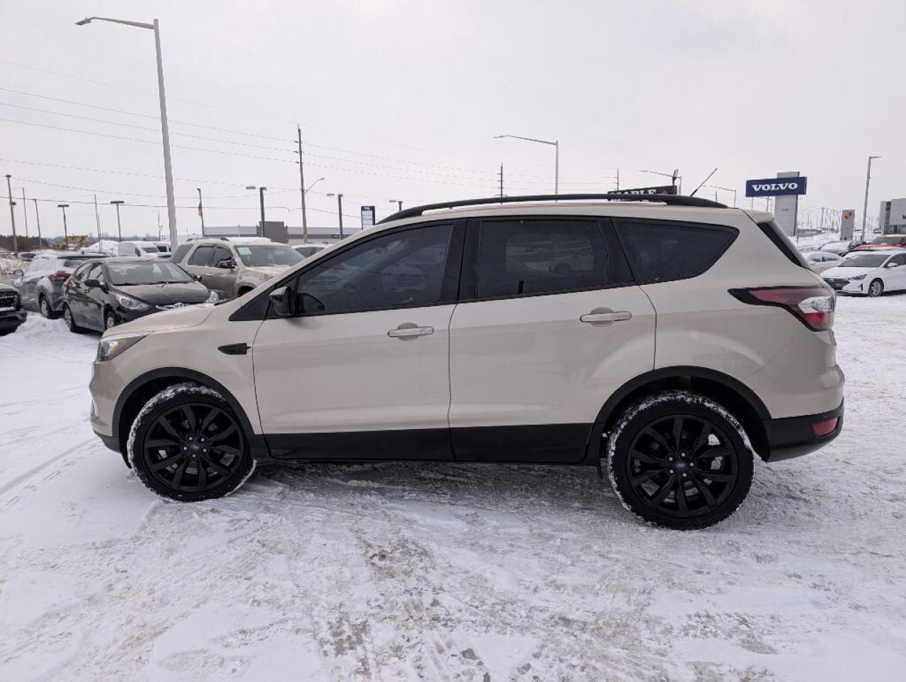 2017 Ford Escape SE   CAMERA   HTD SEATS Photo