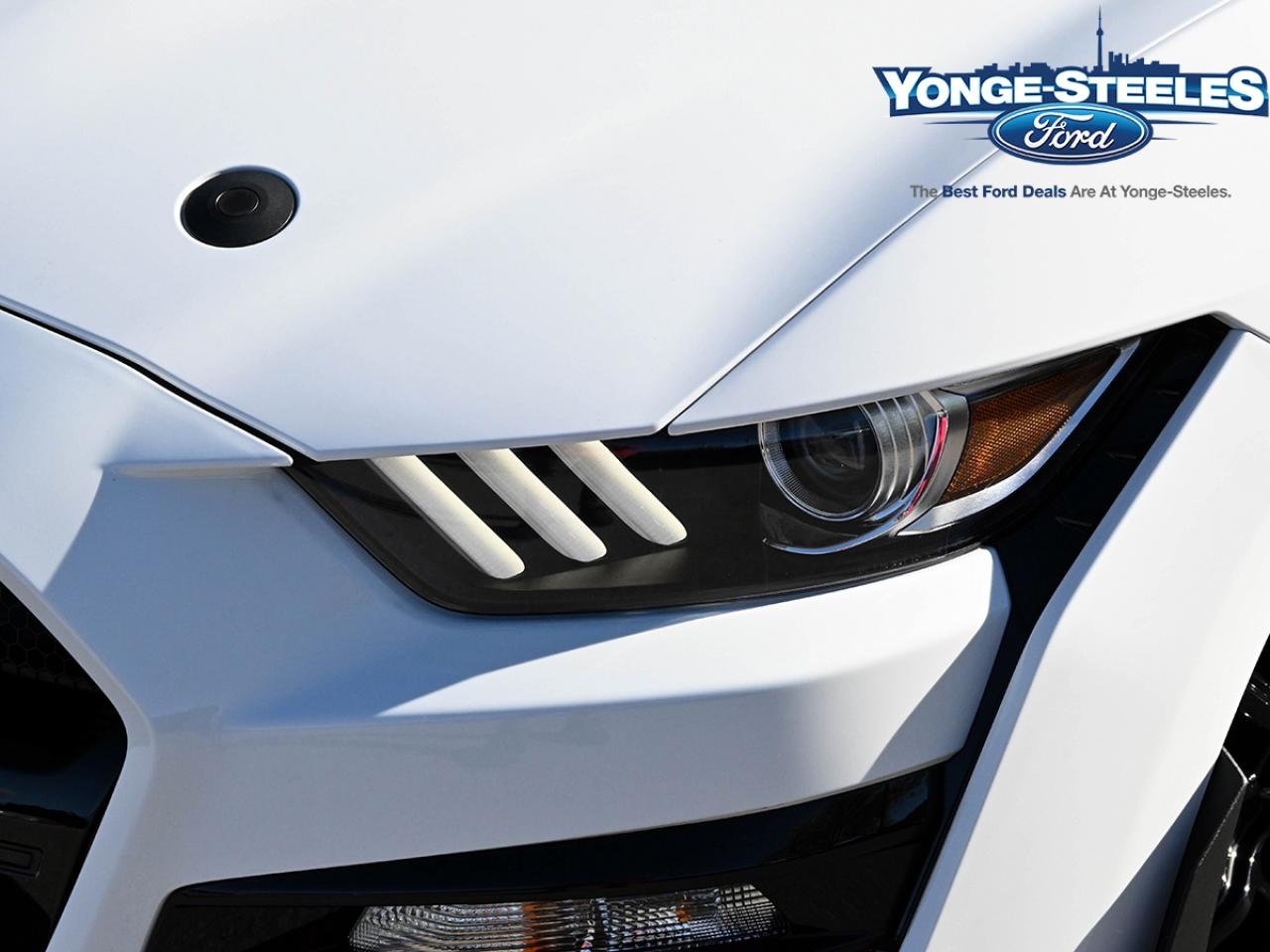 2020 Ford Mustang Shelby GT500 Fastback LIKE NEW NO ACCIDENT Photo