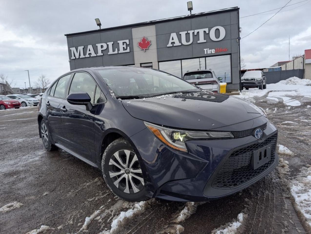 2021 Toyota Corolla HYBRID LEATHER Photo3