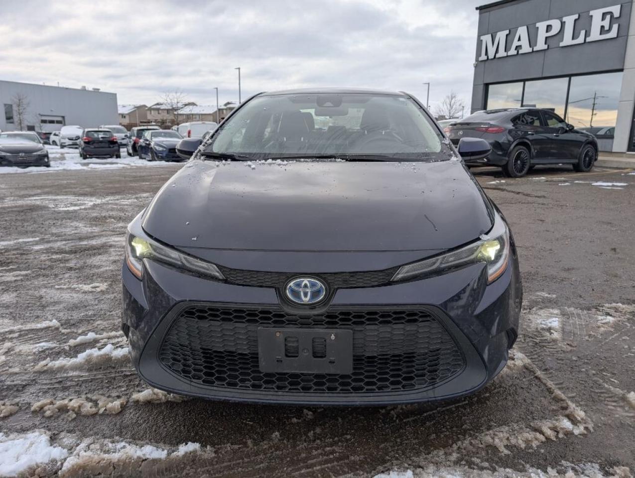 2021 Toyota Corolla HYBRID LEATHER Photo2