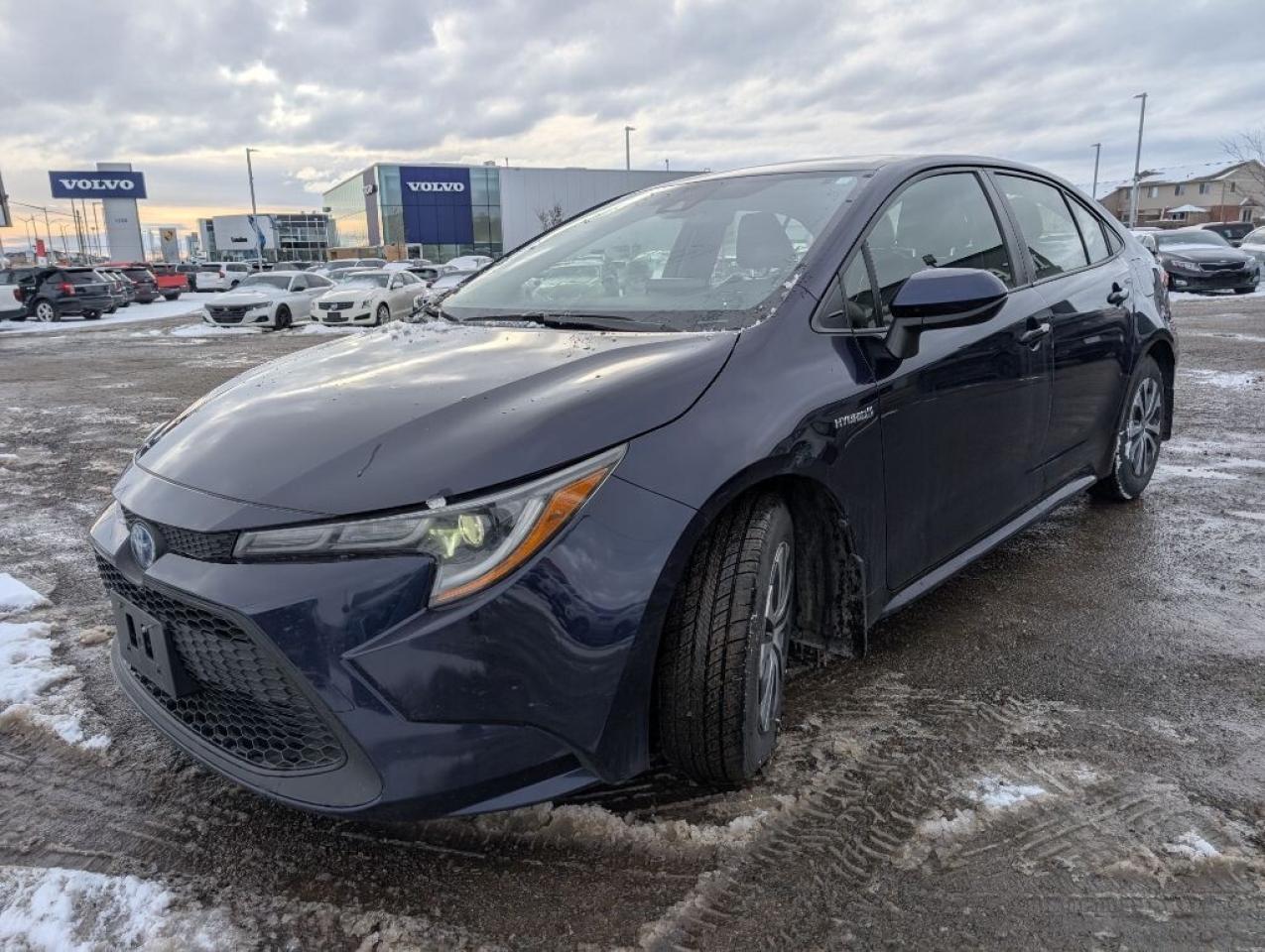 2021 Toyota Corolla HYBRID LEATHER Photo