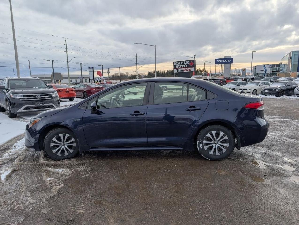 2021 Toyota Corolla HYBRID LEATHER Photo