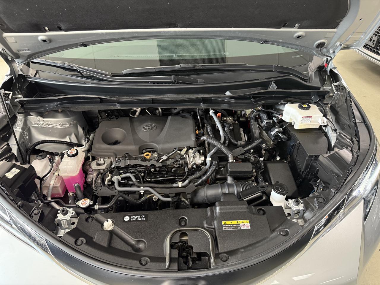 2022 Toyota Sienna XLE 8-Passenger FWD Photo