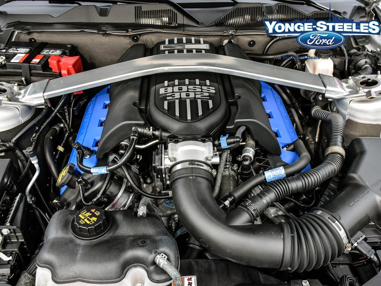 2012 Ford Mustang Boss 302 LAGUNA SECA DELIVERY KMS A RARE FIND Photo