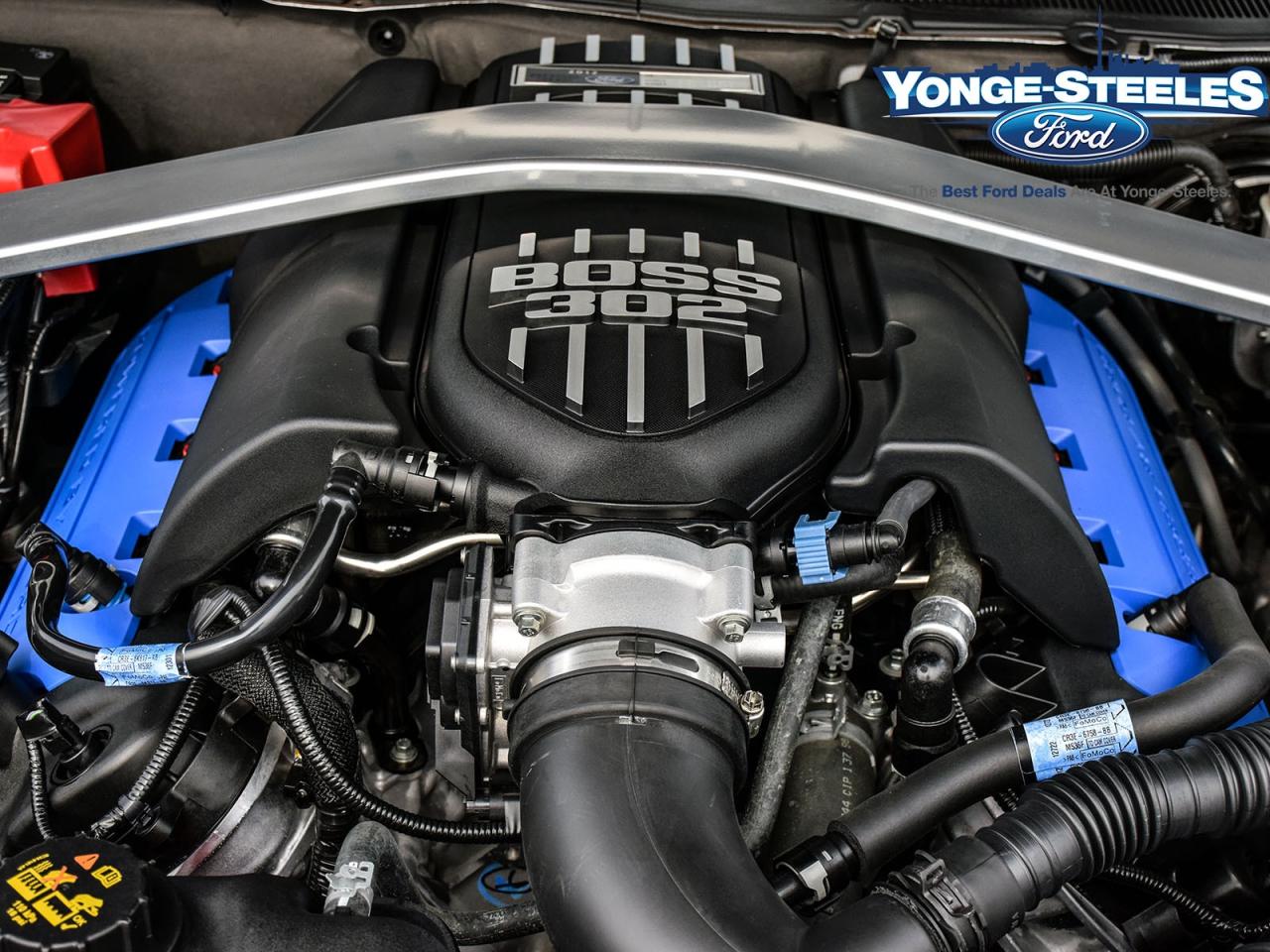 2012 Ford Mustang Boss 302 LAGUNA SECA DELIVERY KMS A RARE FIND Photo