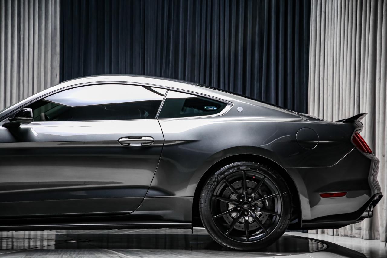 2017 Ford Mustang SHELBY GT350 SUPERCHARGED  RECARO TRACKPKG ELECPKG Photo