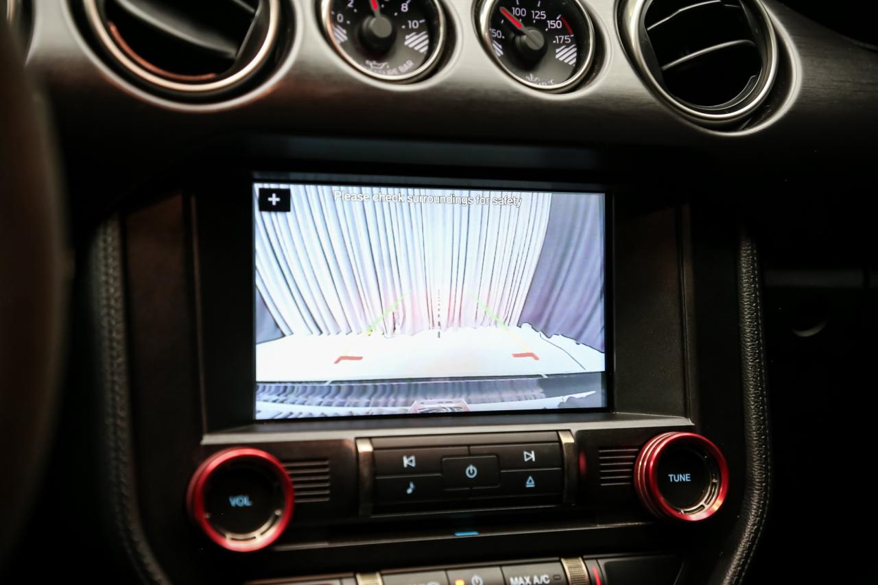 2017 Ford Mustang SHELBY GT350 SUPERCHARGED  RECARO TRACKPKG ELECPKG Photo