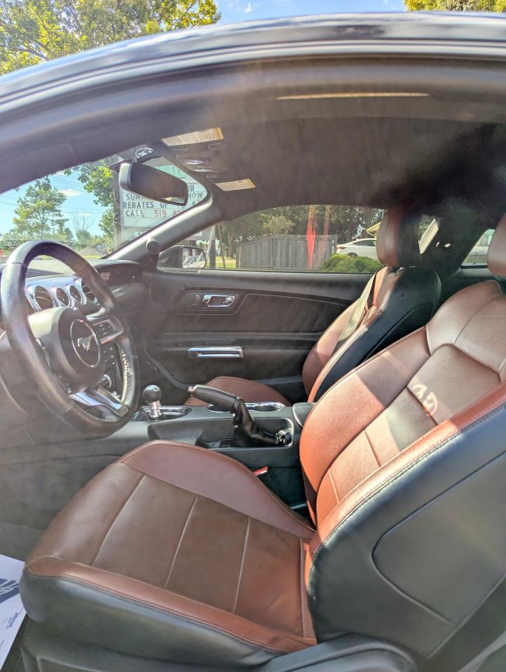 2016 Ford Mustang 2DR FASTBACK ECOBOOST PREMIUM Photo