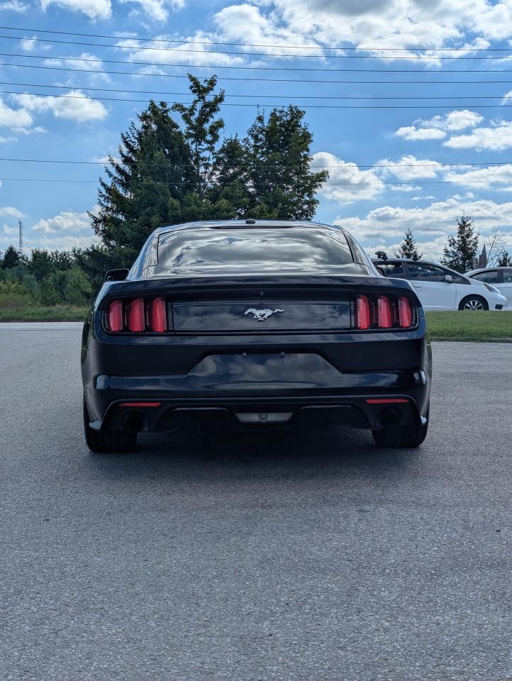 2016 Ford Mustang 2DR FASTBACK ECOBOOST PREMIUM Photo3