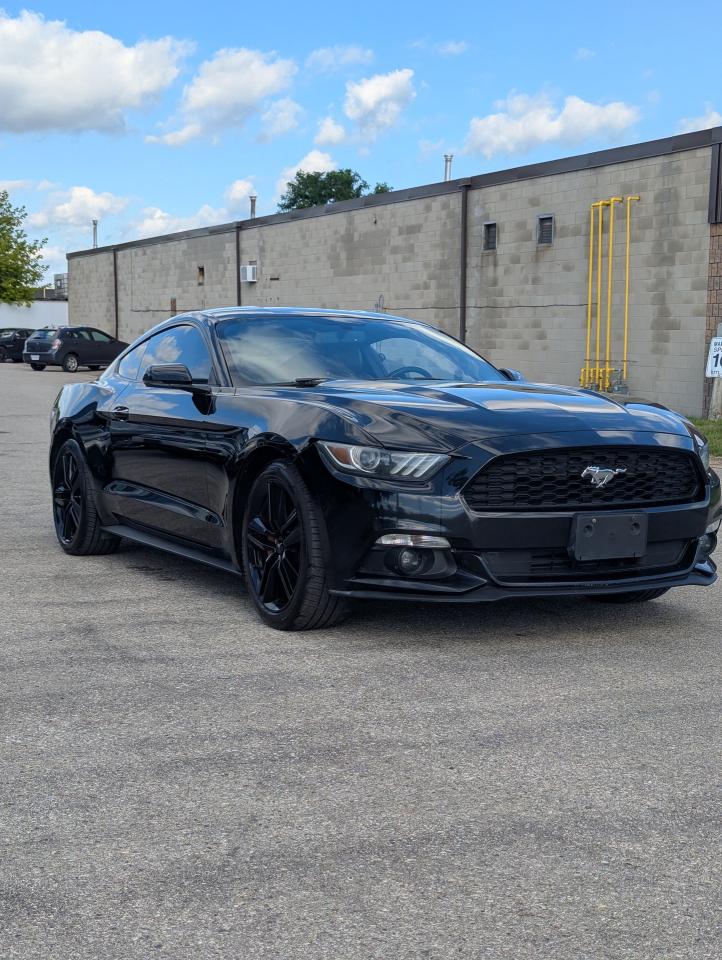 2016 Ford Mustang 2DR FASTBACK ECOBOOST PREMIUM Photo