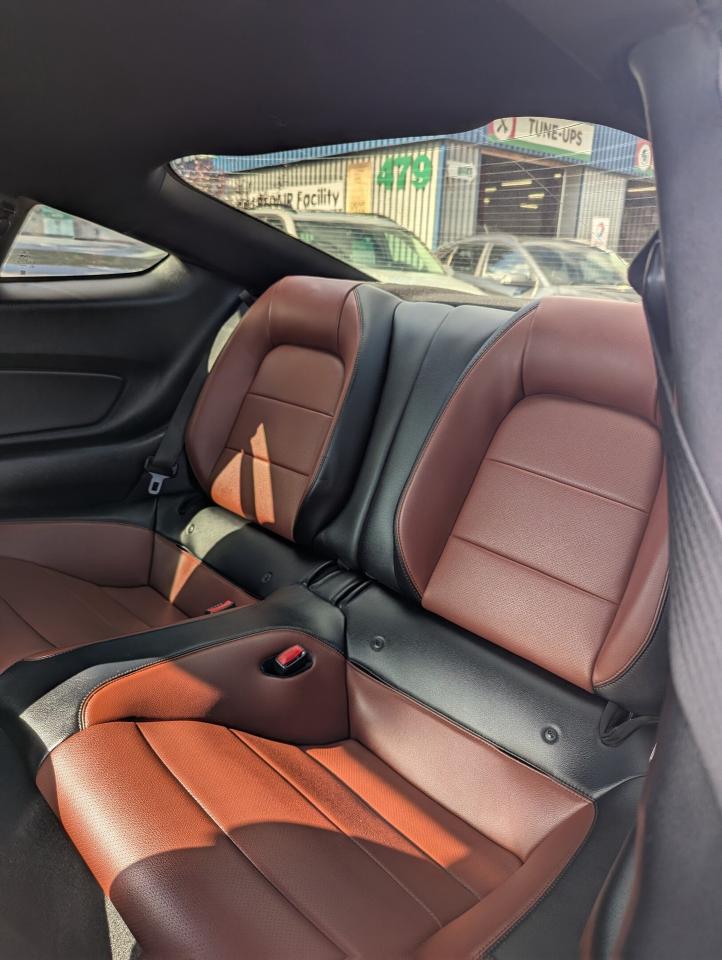 2016 Ford Mustang 2DR FASTBACK ECOBOOST PREMIUM Photo