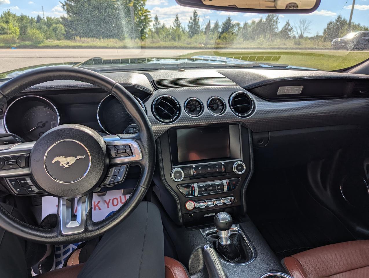 2016 Ford Mustang 2DR FASTBACK ECOBOOST PREMIUM Photo