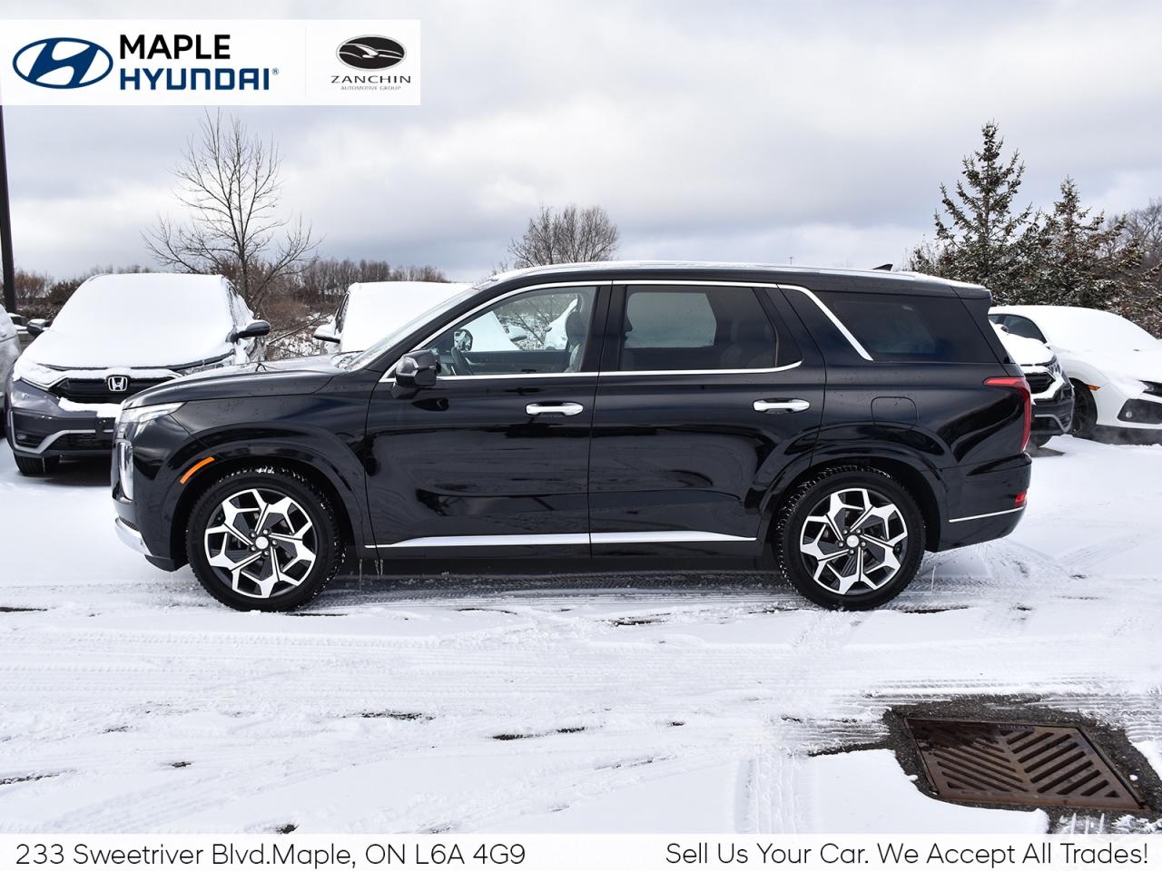 2021 Hyundai PALISADE 1owner   LOW KMS   FULLY LOADED Photo