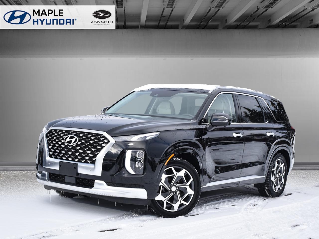 2021 Hyundai PALISADE 1owner   LOW KMS   FULLY LOADED Photo0