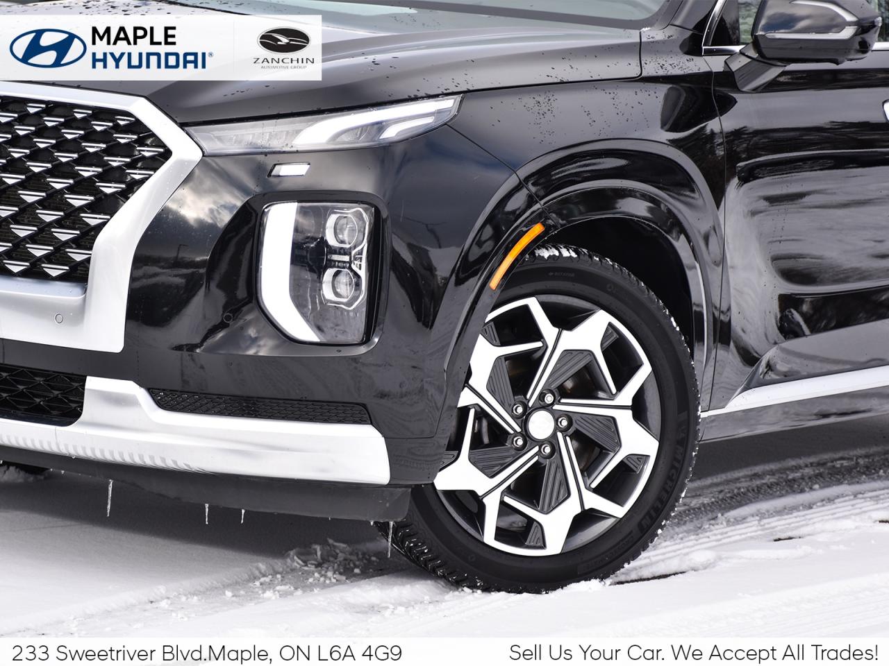 2021 Hyundai PALISADE 1owner   LOW KMS   FULLY LOADED Photo