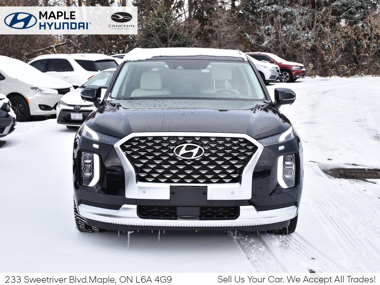 2021 Hyundai PALISADE 1owner   LOW KMS   FULLY LOADED Photo3