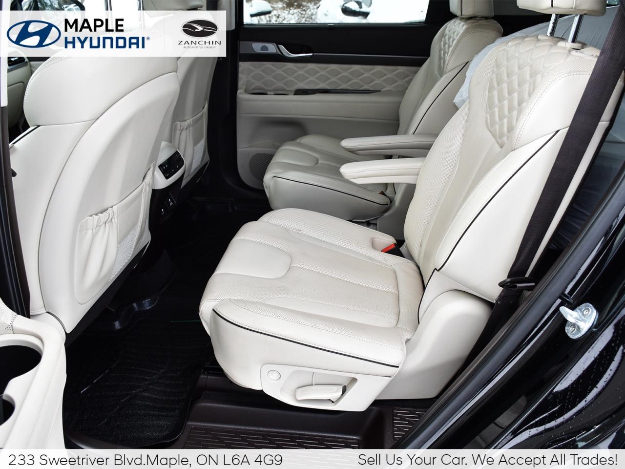 2021 Hyundai PALISADE 1owner   LOW KMS   FULLY LOADED Photo