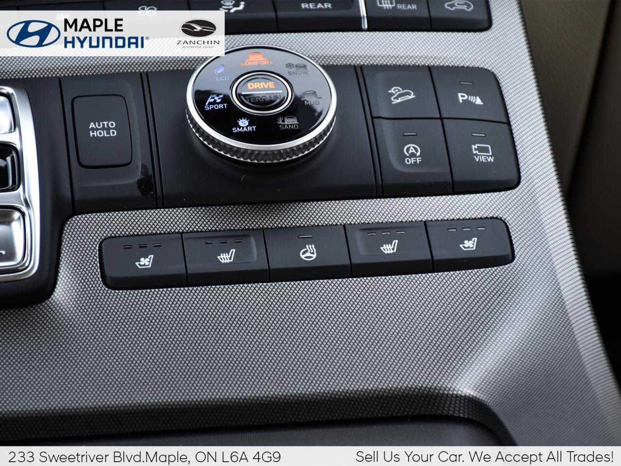 2021 Hyundai PALISADE 1owner   LOW KMS   FULLY LOADED Photo