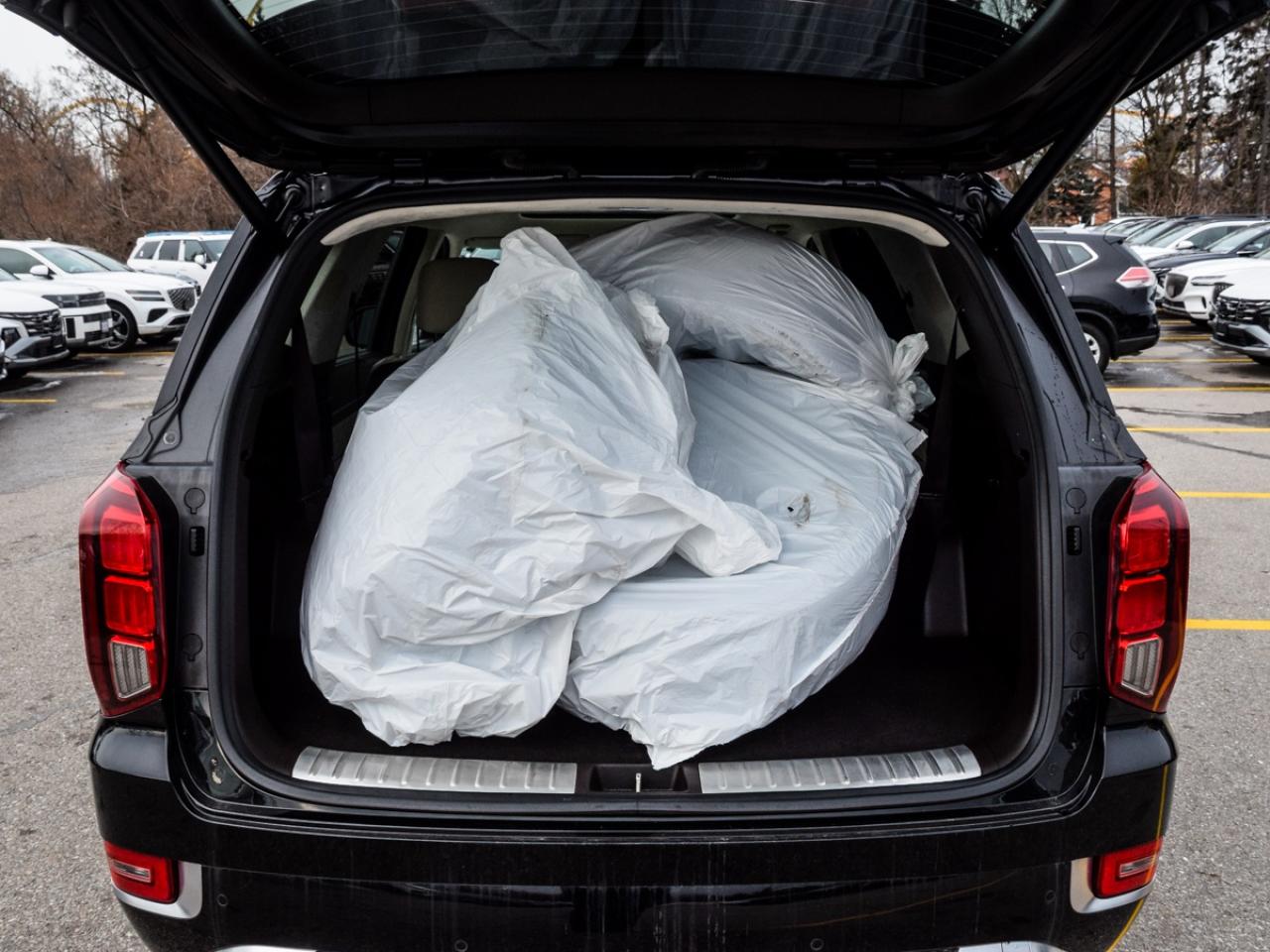 2021 Hyundai PALISADE DONT PAY FOR 90 DAYS   1owner   LOW KMS Photo