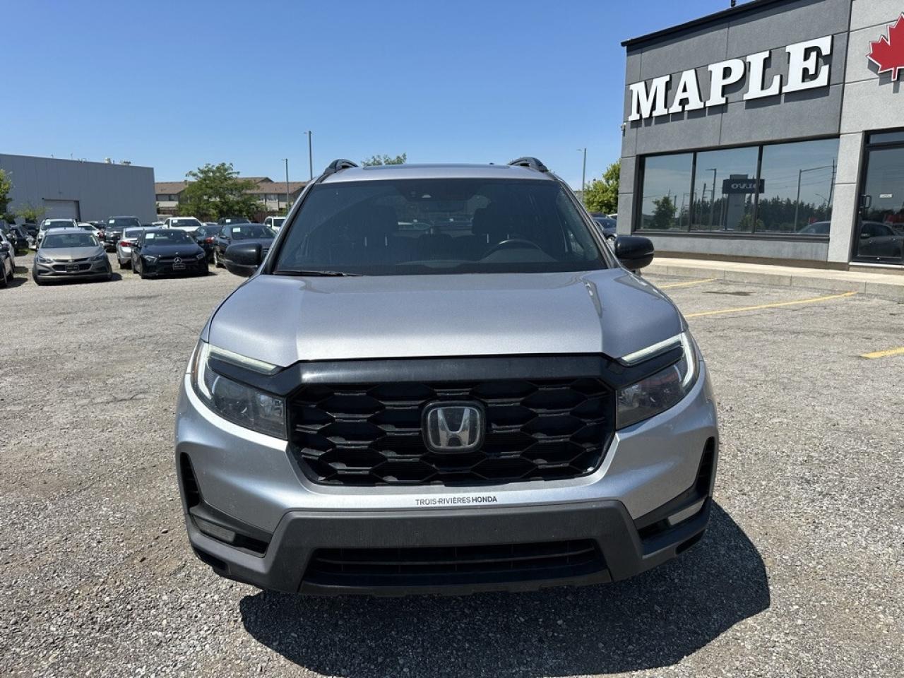 2022 Honda Passport Touring AWD   NAVI   LEATHER  SUNROOF   CAMERA Photo