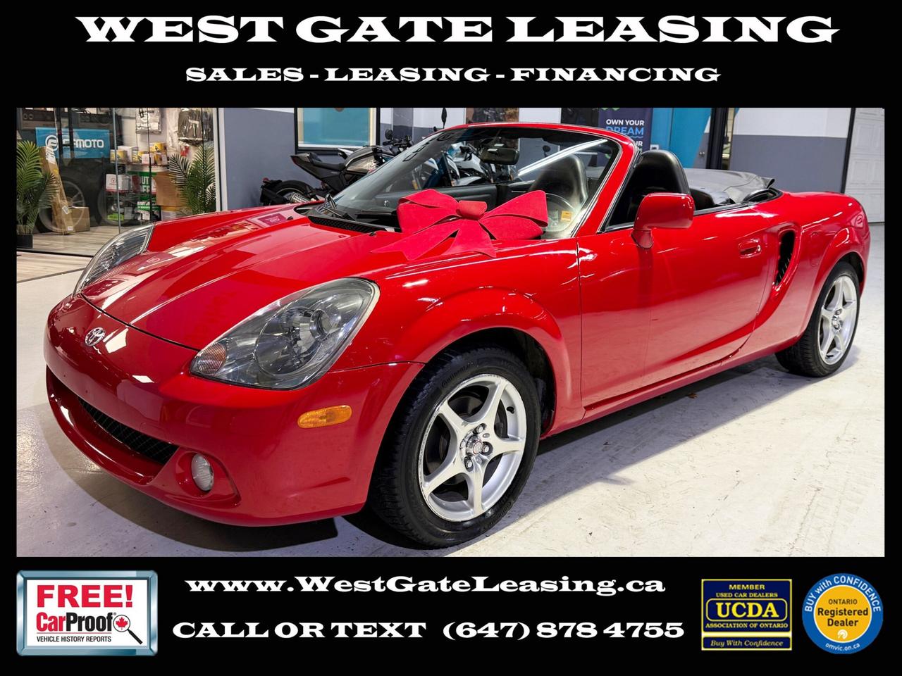 2003 Toyota MR2 SPYDER   CONVERTIBLE   MANUAL Photo0