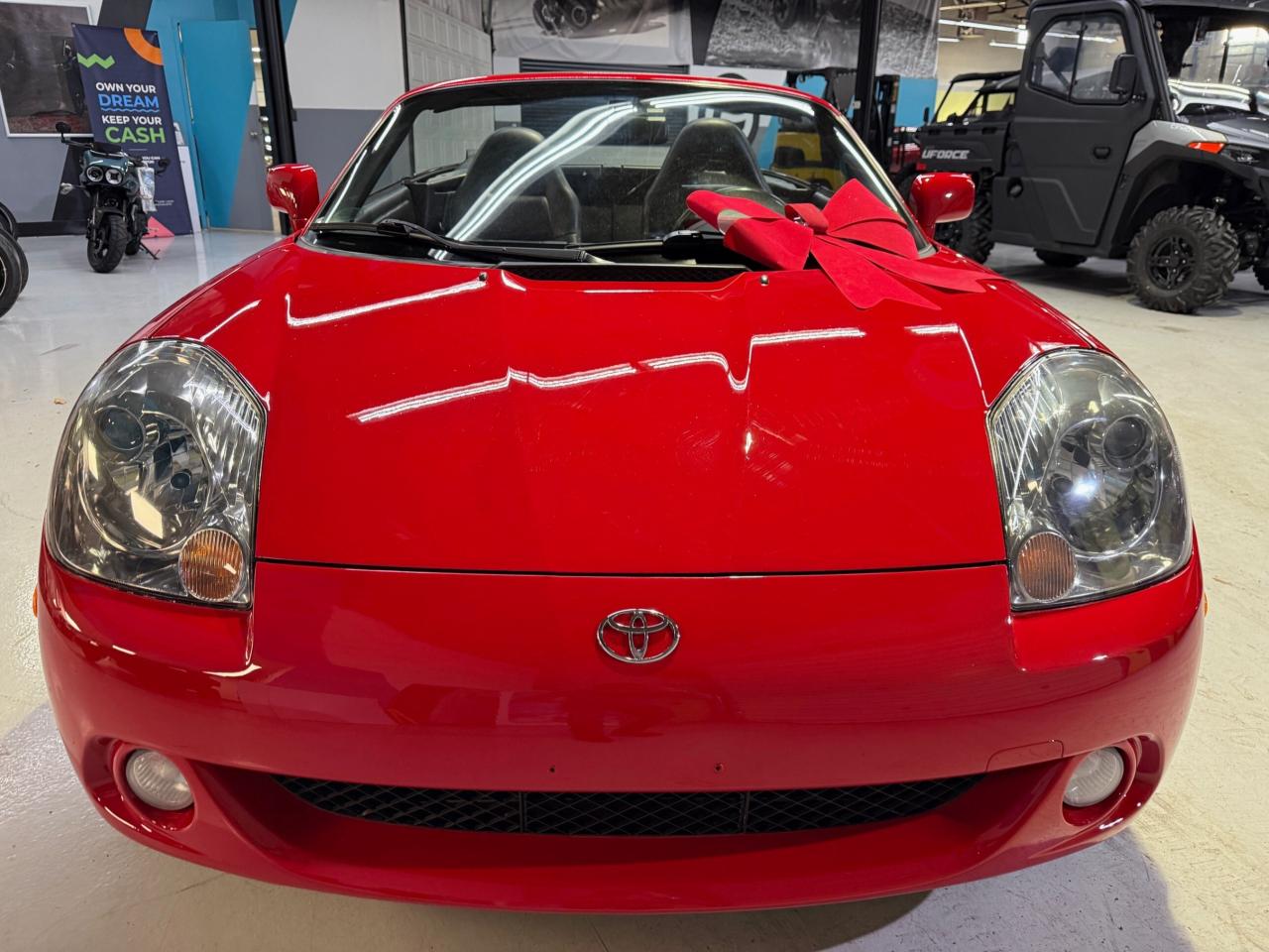 2003 Toyota MR2 SPYDER   CONVERTIBLE   MANUAL Photo4