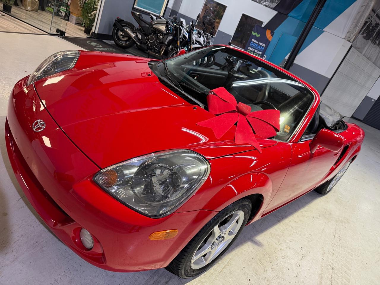 2003 Toyota MR2 SPYDER   CONVERTIBLE   MANUAL Photo