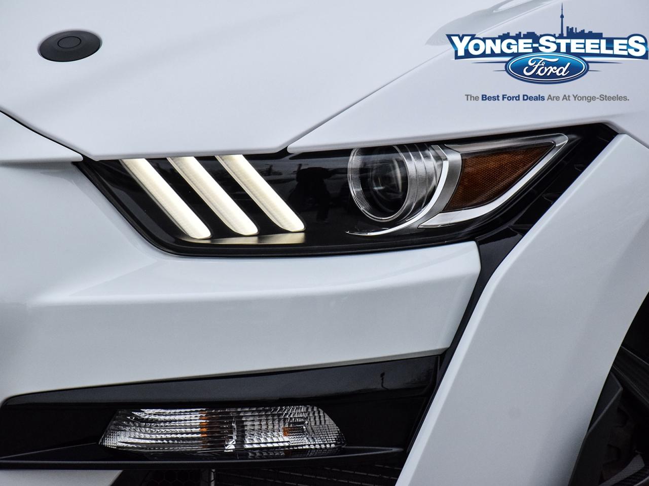 2021 Ford Mustang SHLEBY GT500 CARBON TRACK/TECH PKG 5425 KMS ~RARE~ Photo