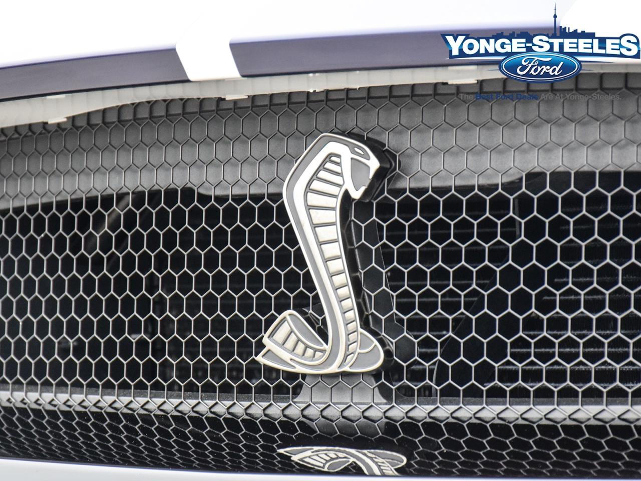 2021 Ford Mustang SHLEBY GT500 CARBON TRACK/TECH PKG 5425 KMS ~RARE~ Photo