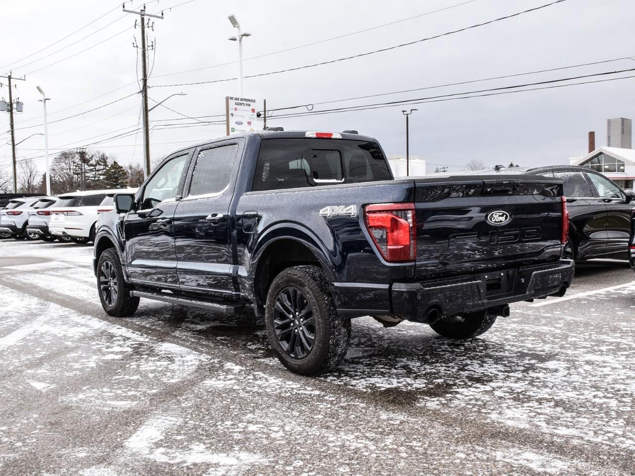 2025 Ford F-150 XLT Photo