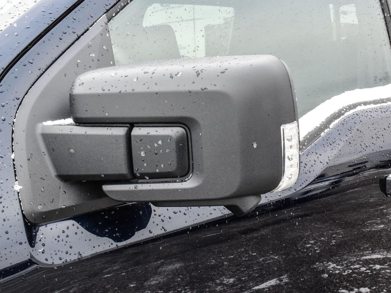 2025 Ford F-150 XLT Photo