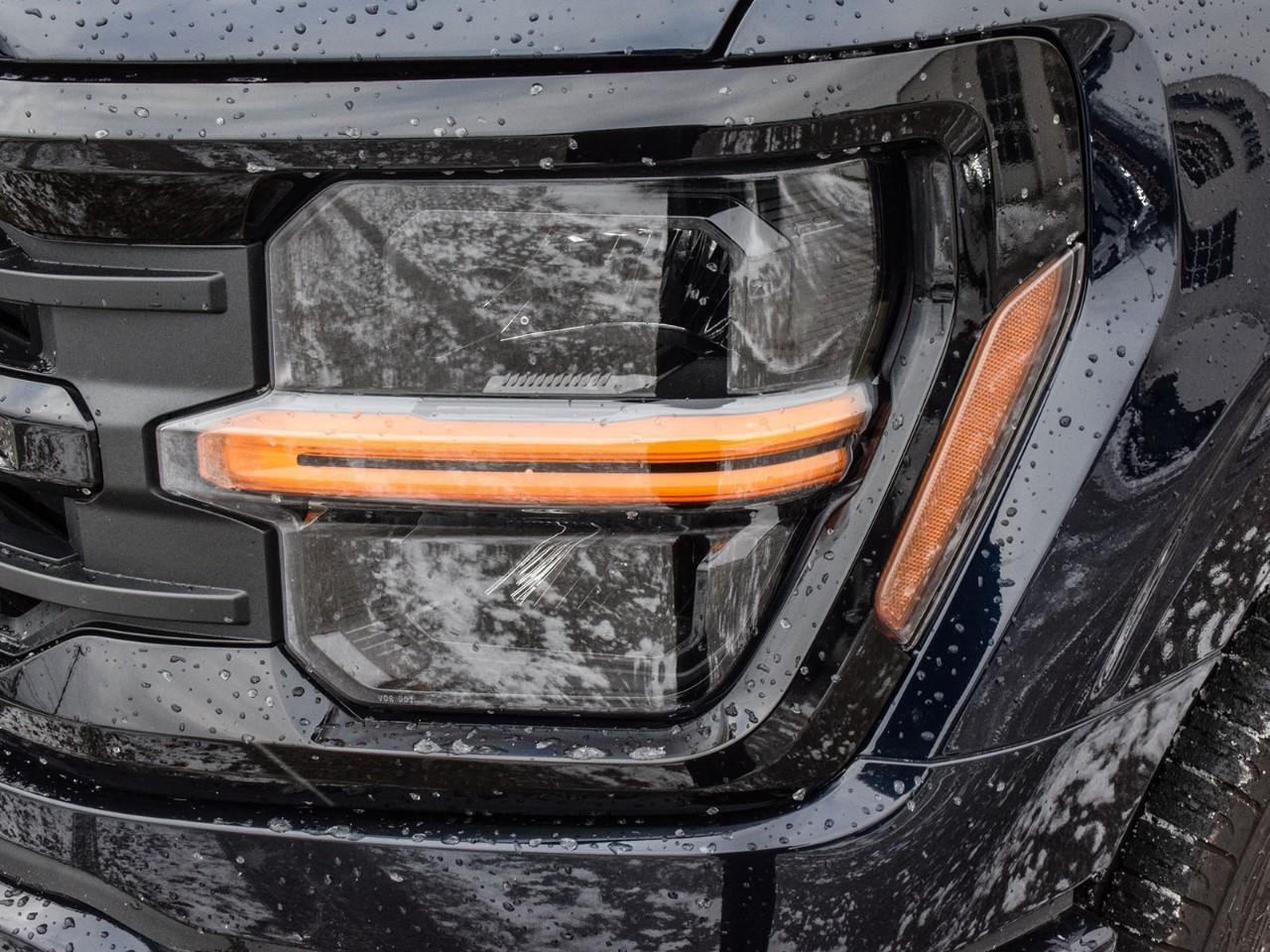 2025 Ford F-150 XLT Photo