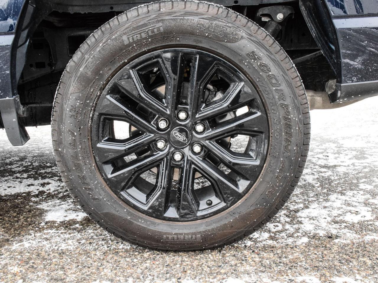 2025 Ford F-150 XLT Photo