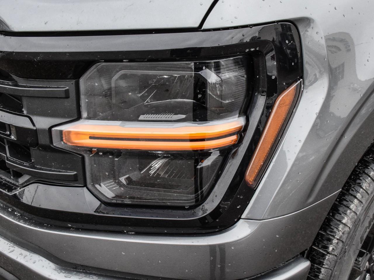 2025 Ford F-150 XLT Executive Demo   Please Call! Photo