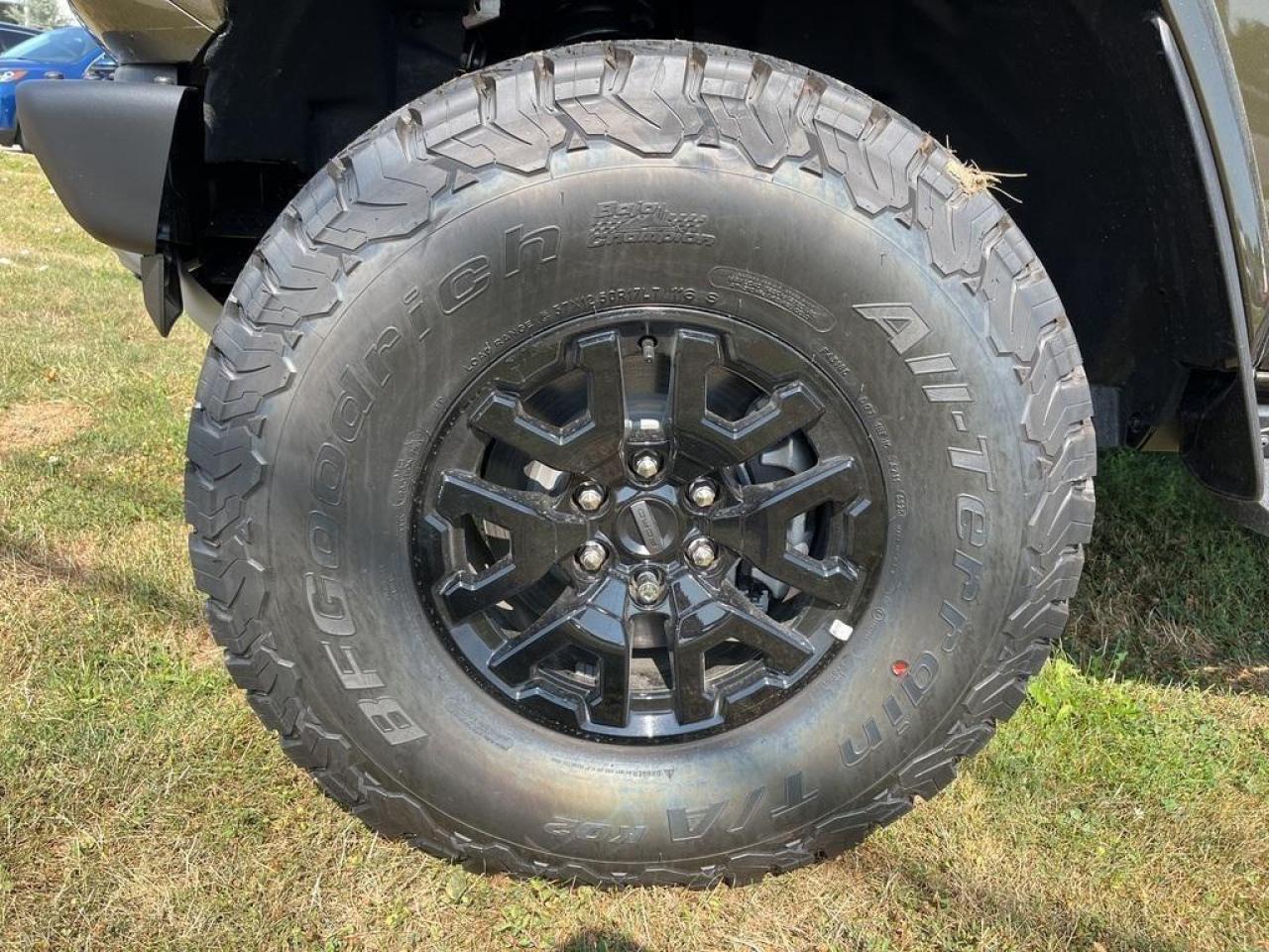 2025 Ford Bronco Raptor LEATHER PKG  PAINTED HARD TOP Photo