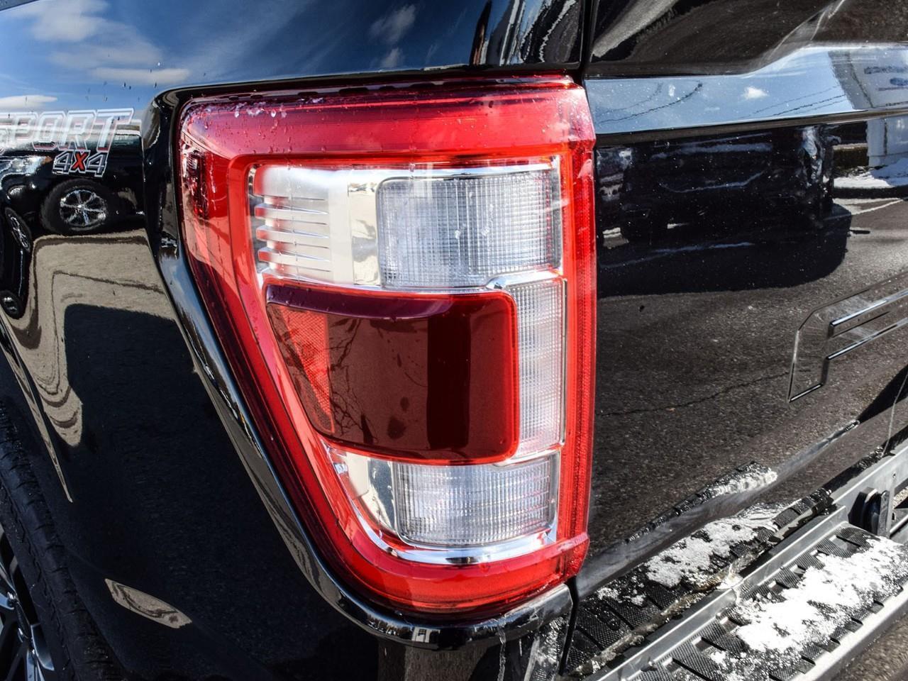 2023 Ford F-150 502A   Panoramic Sunroof   Sport Photo