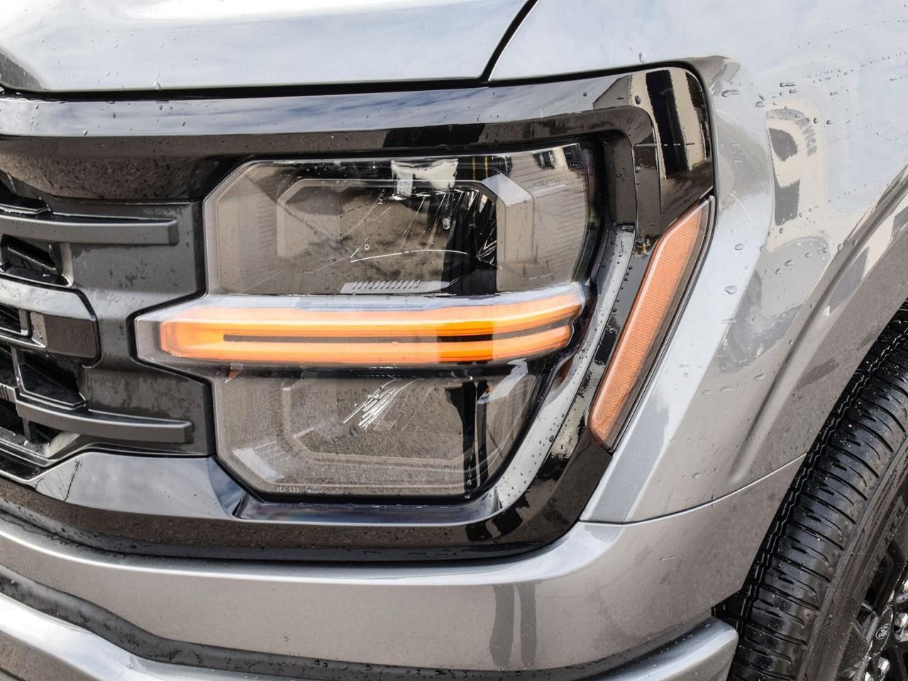 2025 Ford F-150 XLT 303A   Black PKG   3.5L Hybrid Photo