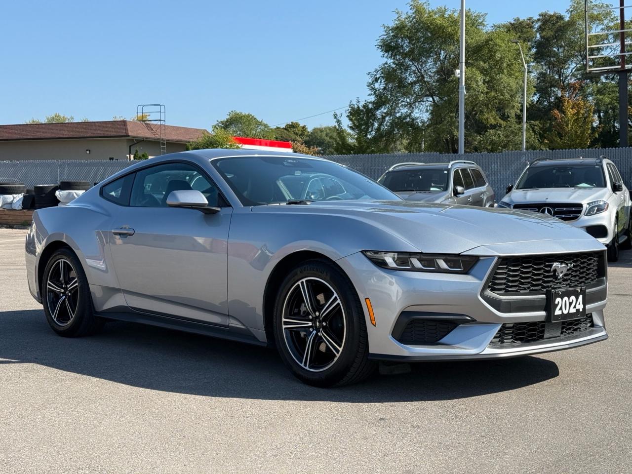 2024 Ford Mustang EcoBoost Fastback  ACCIDENT FREE MINT Photo